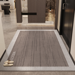 新款玄关脚垫高级入户门地垫轻奢门口地垫客厅家用地毯可裁剪