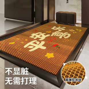 金黄色入户门地垫防滑脚垫家用门垫不显脏室内尼龙丝地毯可定制