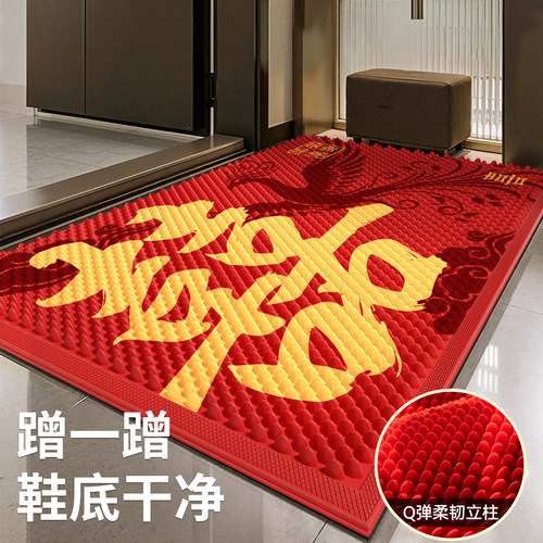 斯美儿入户地垫防滑耐脏免洗
