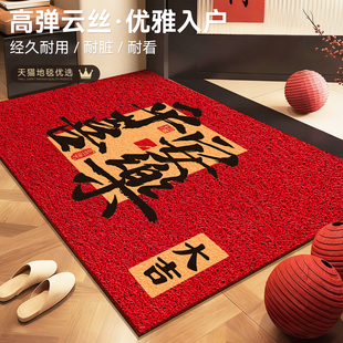 红色入户门地垫2025新款 丝圈脚垫门口玄关家用脚踏垫喜庆除尘地毯
