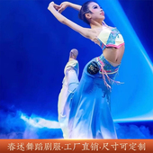 傣族舞蹈服春述剧独舞艺考舞蹈服练习裙民族风孔雀舞大摆裙鱼尾裙