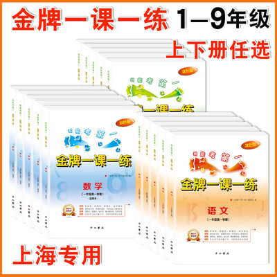 金牌一课一练1-9年级任选