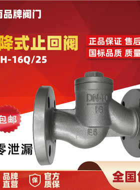 宇明蒸汽升降式止回阀H41H-16卧式法兰止回阀单向阀逆止阀DN25 50