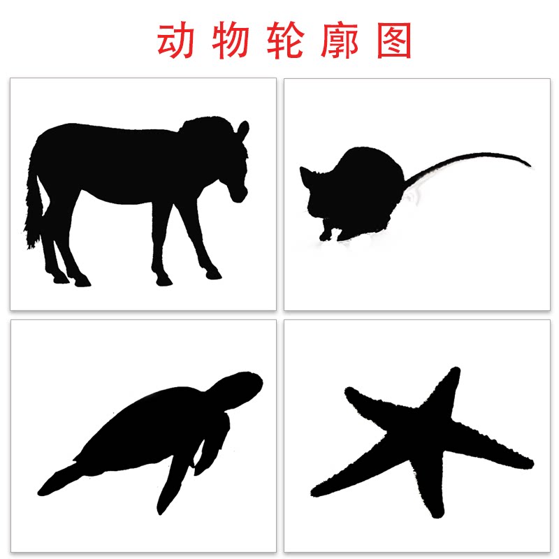 动物轮廓图影子 自闭症思维训练卡片儿童孤独症aba康复训练教具