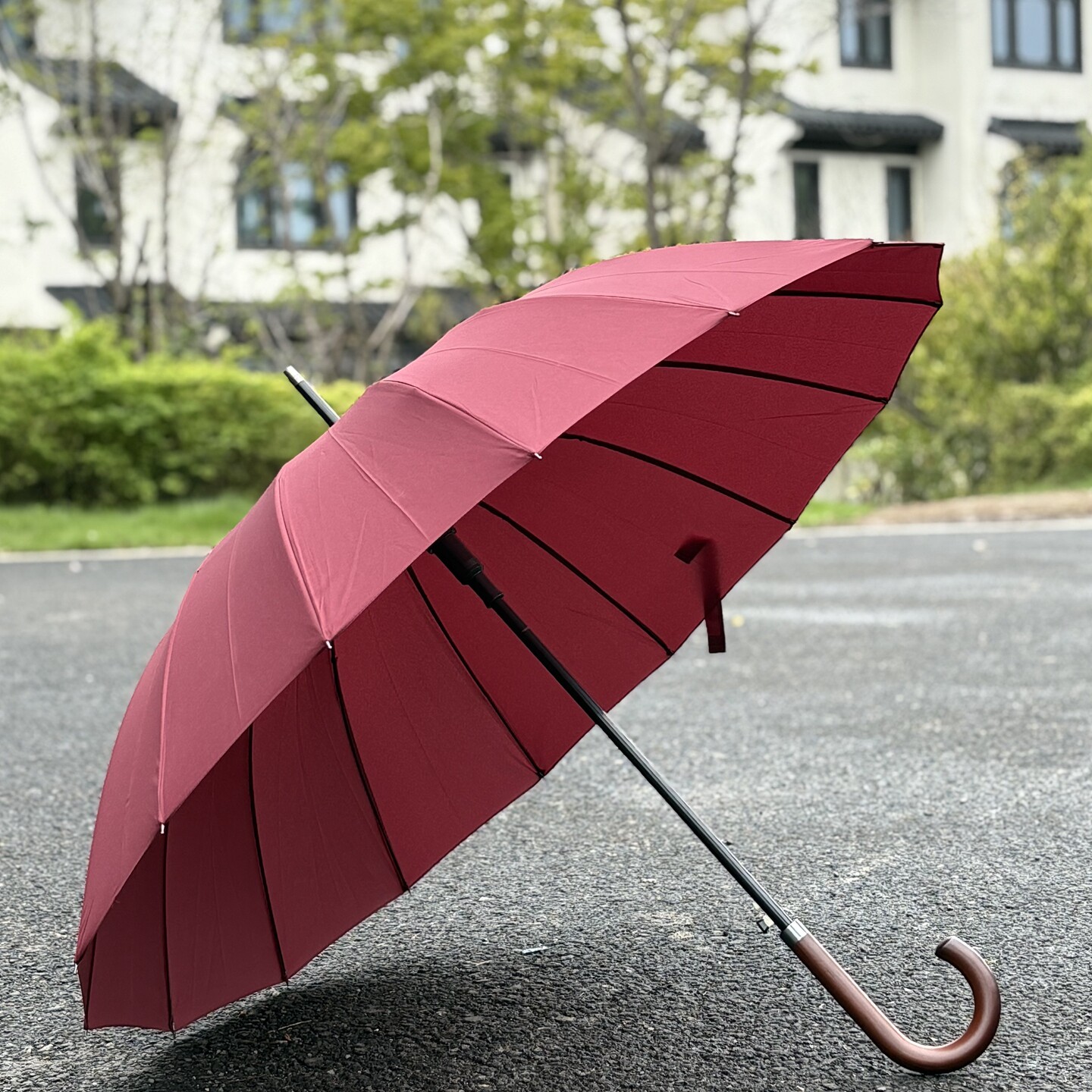 纯色抗风男女无玻纤16骨长柄伞晴雨伞自动商务伞学生伞定制广告伞