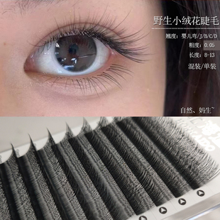 小绒花睫毛嫁接婴儿弯JBC翘野生仿真毛绒款V型细软加密美睫店专用