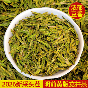 2026年头采新茶杭州明前龙井茶叶黄版浓豆香高山春茶绿茶正宗250g