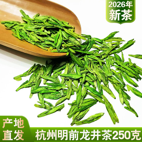 2026年新茶杭州明前龙井茶250g