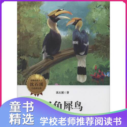 双角犀鸟沈石溪价格 双角犀鸟沈石溪图片 星期三