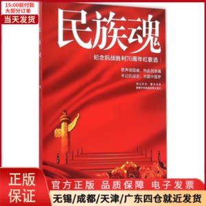 【全新正版】民族魂艺术/音乐（新） 9787539970042