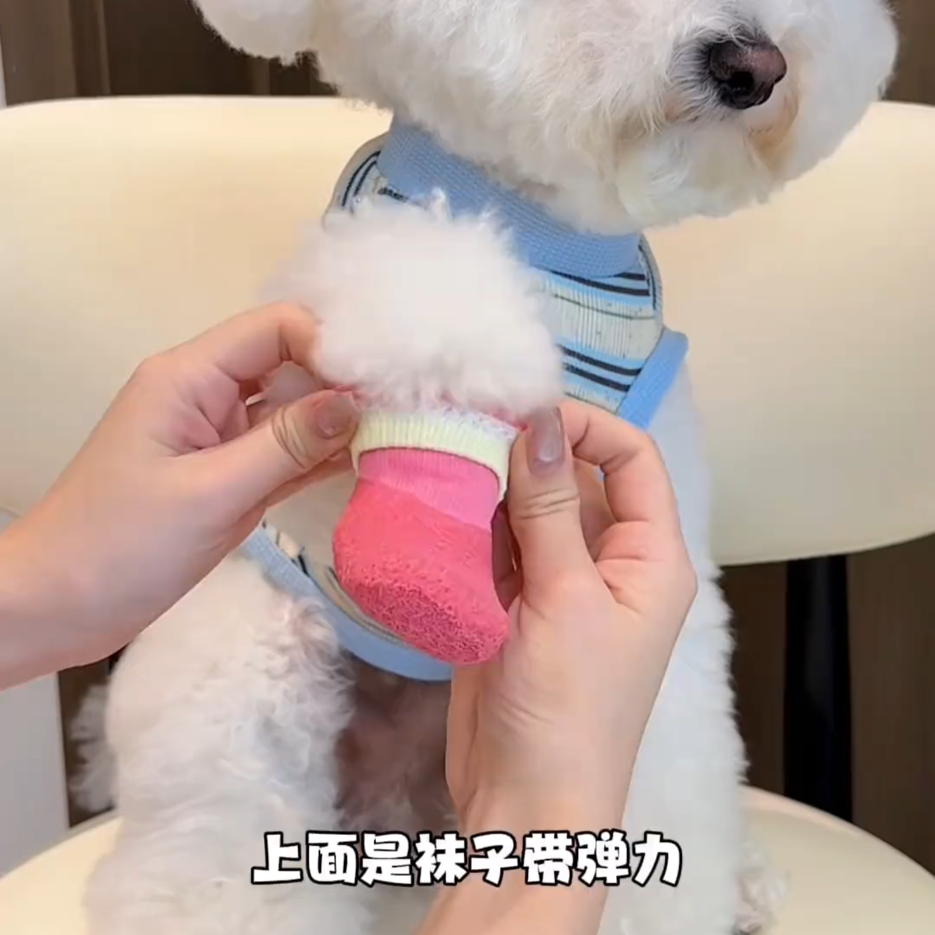 狗狗鞋子宠物雨鞋小型犬脚套硅胶软底甩不掉防水小狗鞋不掉脚防滑