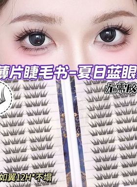 Lash Clusters Kit,DIY Lash Extension Kit,Eyelash Clusters