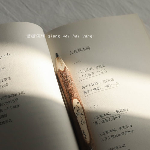 原生态木头铅笔阅读笔拍照道具