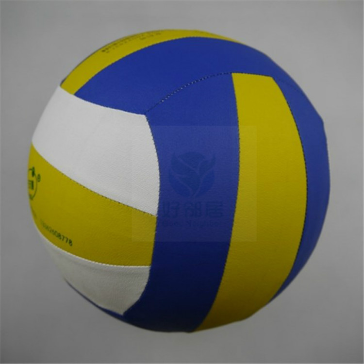 Ballon de volley - Ref 2007946 Image 2