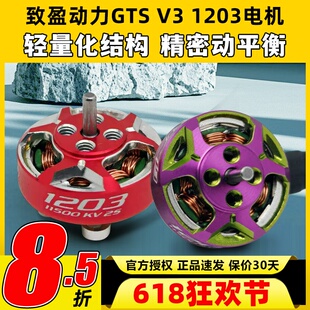 RCinpower致盈动力GTS V3 1203无刷电机花飞竞速室内穿越机动力