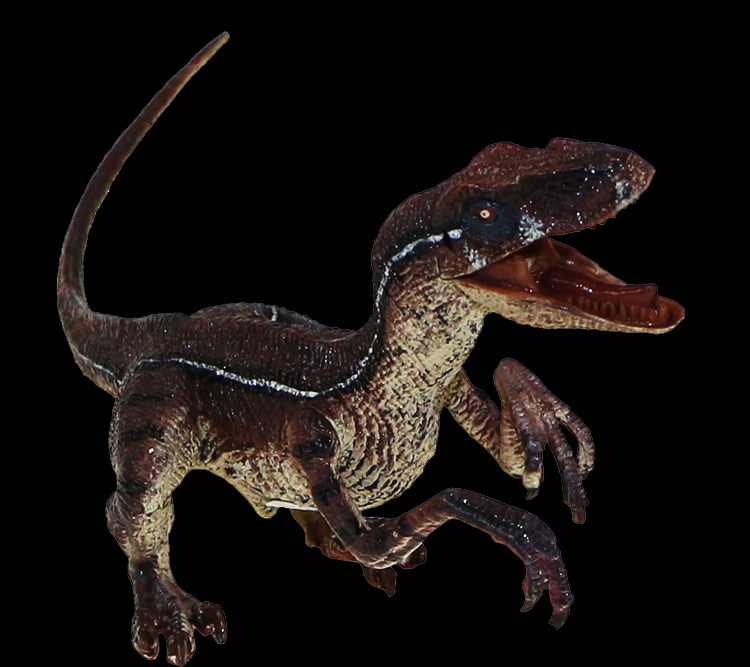 侏罗纪恐龙实心仿真静态塑料模型玩具布鲁迅猛龙两色宝宝摆件