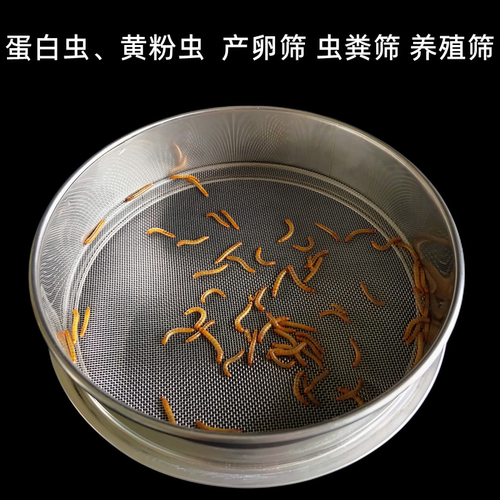 蛋白虫黄粉虫虫粪筛子产卵筛网
