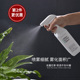 家用喷雾瓶子细雾超细脸部化妆补水专用水壶酒精消毒浇花美发喷壶