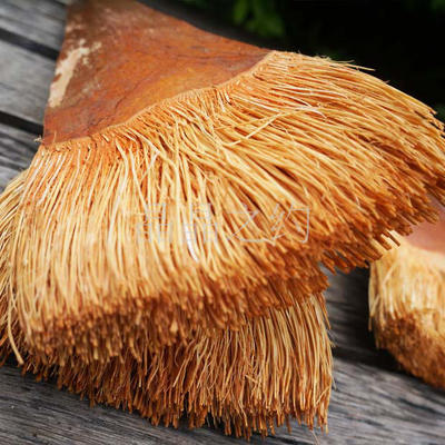 包邮天然椰棕刷家用不粘油环保