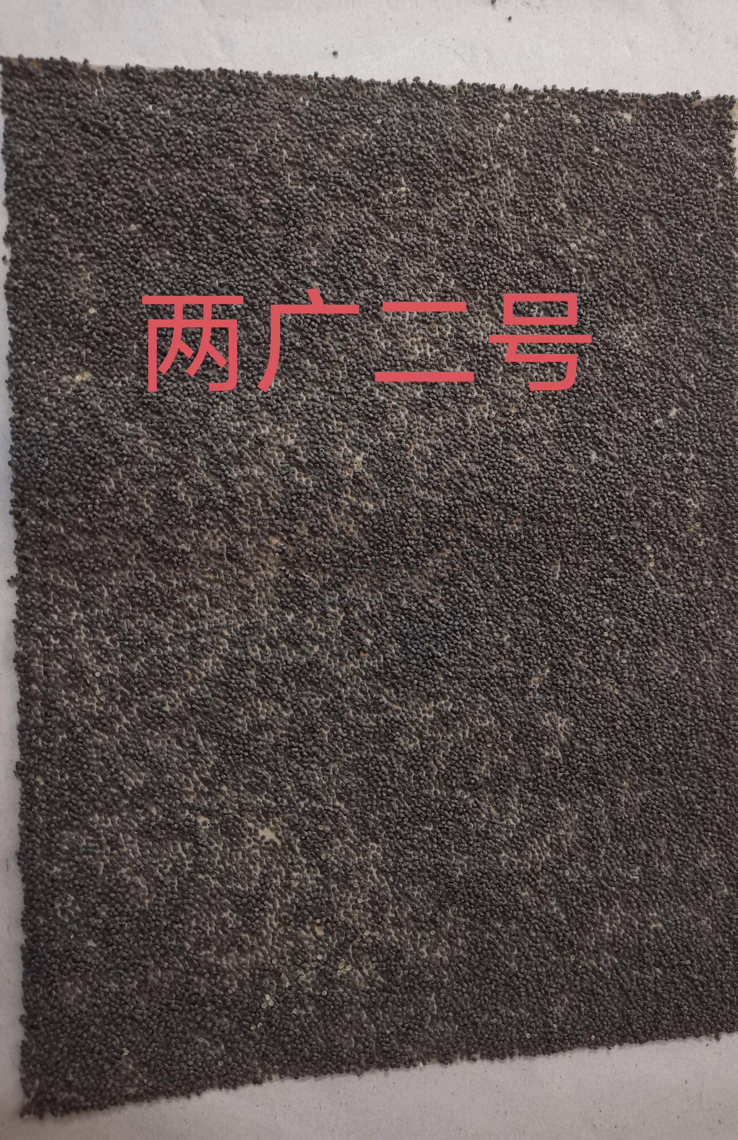 桑蚕种蚕卵抗病毒抗高温