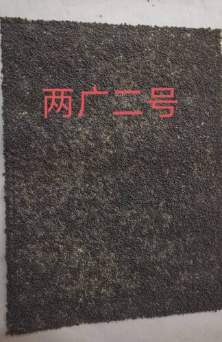 桑蚕种蚕卵抗病毒抗高温