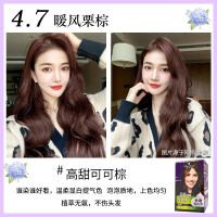 Schwarzom hair dye, Yiran Hair Dye, Mousse Bubble Hair Dye, Women's Dark Purple, Mulberry vine Purple, dye at home by yourself thumbnail 2