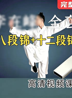 李老师高清十二段锦U盘