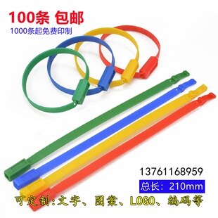 一次性插口塑料封条封签标牌标签扎带集装 施封锁21cm 箱船舶对插式