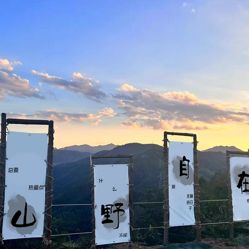 挂布挂毯门帘高清印花
