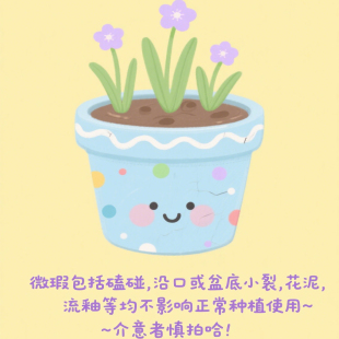 陶土盲盒微瑕捡漏 介意慎拍 不影响使用