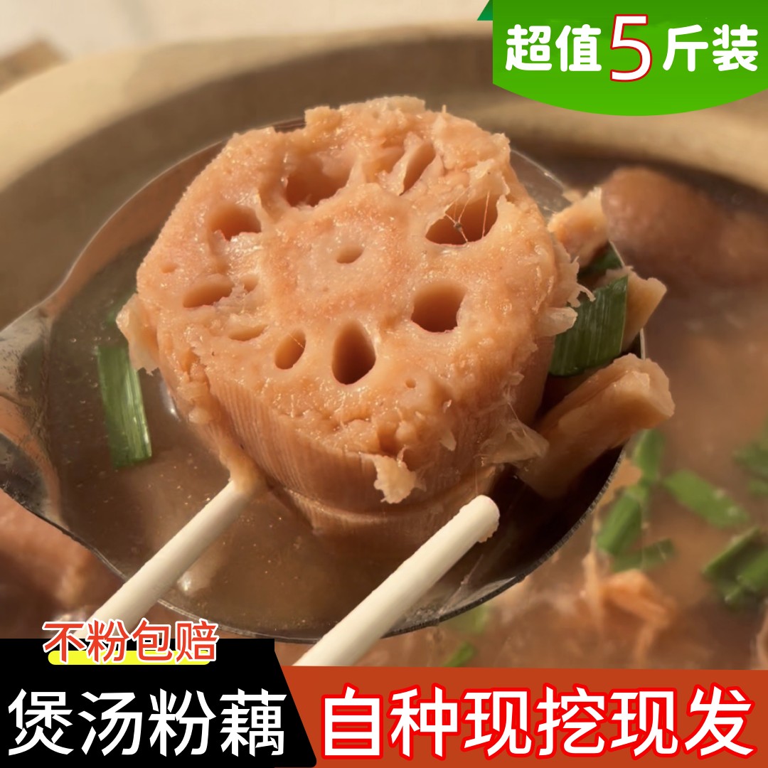 洪湖粉藕娃娃藕煲汤粉藕小藕双节中间段煨汤藕5斤包邮