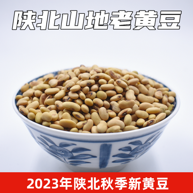 5斤装2023老品种陕北肾形黄豆