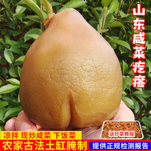 咸菜疙瘩山东新鲜大头菜下饭菜