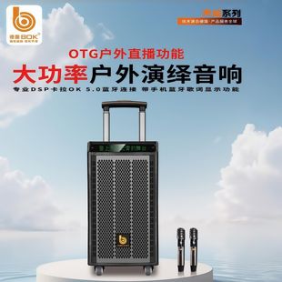 德国BOK声威系列大功率户外演绎音响穿透500米BK8086/8089/8010
