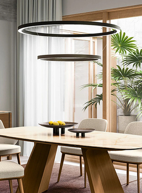 意大利进口Luceplan Compendium Circle卧室客厅简约圆环金属吊灯