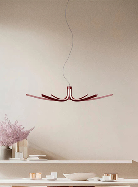 意大利进口Foscarini Asteria现代简约餐厅吊灯创意金属吊灯