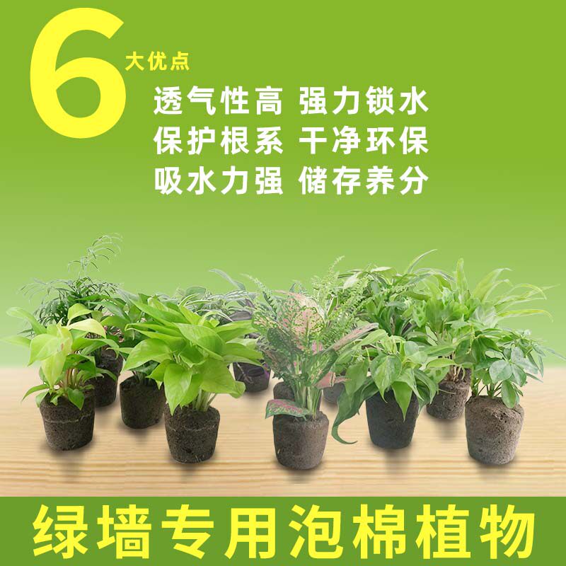 室内阳台植物墙盆栽仿土海绵小绿植背阴垂直立体绿化泡棉植物保水