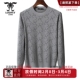 专柜同款 青年男士 时尚 龙达飞新品 百搭圆领毛衣针织衫 S26111Q1