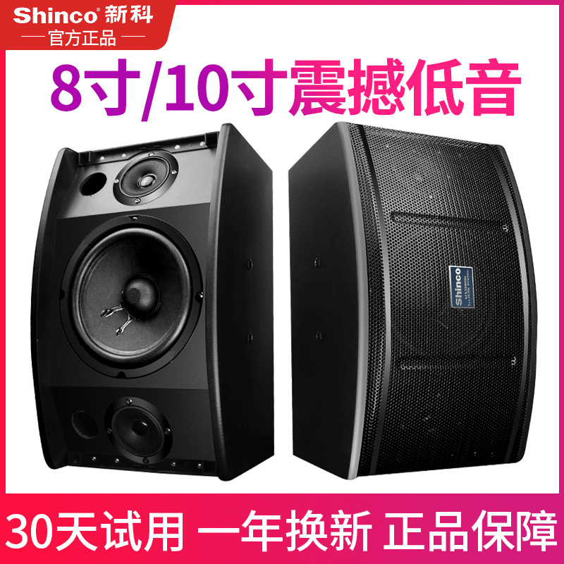 Shinco/新科 DJ-12 8寸10寸专业会议酒吧音响家用KTV卡包音箱一对