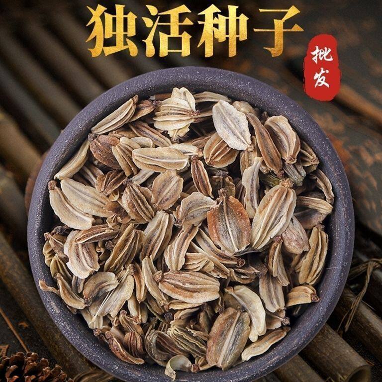 独活种子野生新采正品岷县独活种籽中药材种植苗盆栽苦参党参种孑
