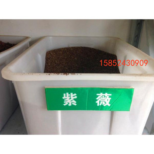 紫薇树种子 红花紫薇种子 百日红种子庭院植物花卉新种子四季易种