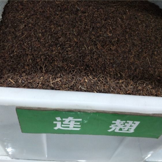 优质连翘种子散装花卉林木青翘黄翘籽庭院地栽育苗绿化南北方包邮
