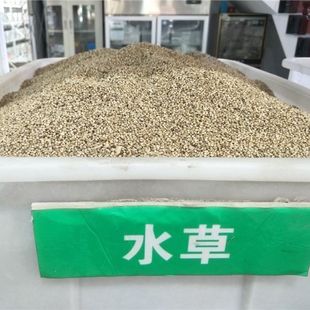 鱼塘水草种子水花生伊乐藻轮叶黑藻小龙虾鱼蟹养殖水草籽四季包邮