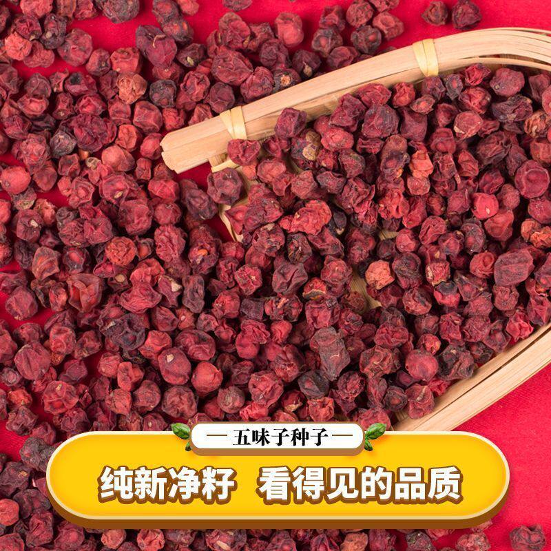 天然五味子种子中药材北五味子树苗种籽北方种植药用价值高送资料图片