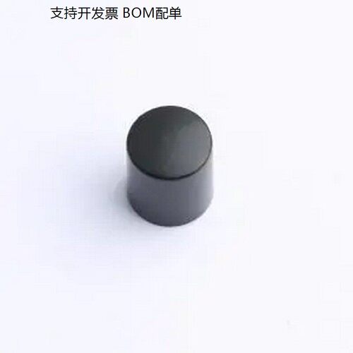 SC417AA2键帽-开关配
