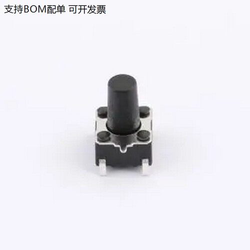 TS-1095F-AB3-D2-P6.0*