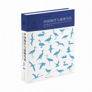 中国野生鸟类:中国海洋与湿地鸟类  亲子阅读户外观鸟指南图书鸟类图书 湖南科学技术出版社