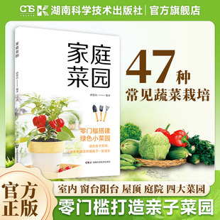 湖南科学技术出版 适合亲子劳动让快乐和蔬菜伴随孩子一起成长 社 零门槛搭建绿色小菜园 家庭菜园