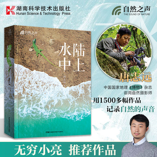 沉淀20年心血之作 自然之聲：陸上水中 中國國家地理御用自然攝影師用500多幅精美圖片帶你探尋陸上水中 小亮 生命