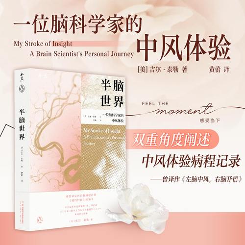 半脑世界一位脑科学家的中风体验